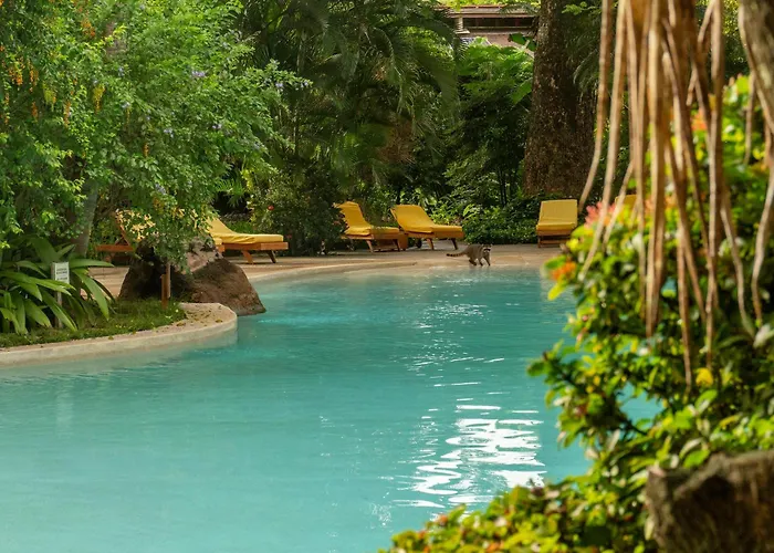 Capitan Suizo Beachfront Boutique Hotel